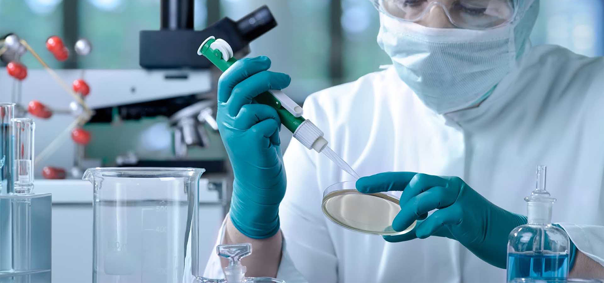 Gestionar Negocios Fácil